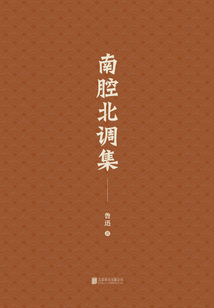 有間文庫：南腔北調(diào)集