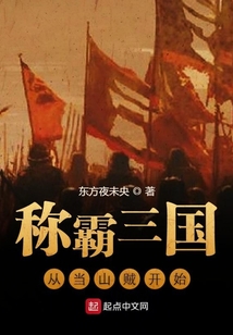 稱霸三國從當山賊開始