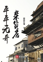 平平無奇雜貨店在線閱讀