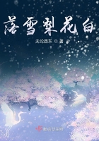 落雪梨花白在線閱讀