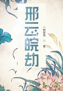 邢云皖劫