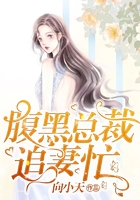 腹黑总裁追妻忙