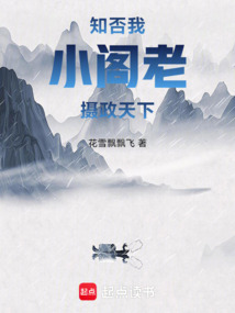 知否：我，小閣老，攝政天下