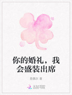 你的婚礼,我会盛装出席在线阅读