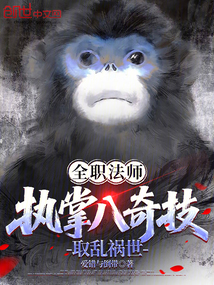 全职法师：执掌八奇技，取乱祸世在线阅读