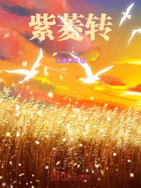 紫菱转在线阅读