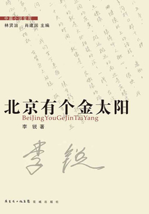 北京有个金太阳