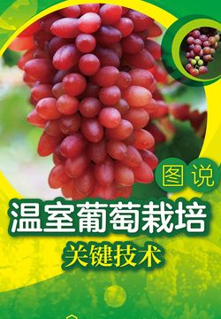 图说温室葡萄栽培关键技术 封面