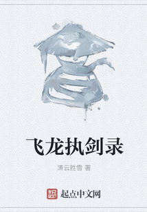 飞龙执剑录