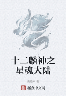 十二麟神之星魂大陸