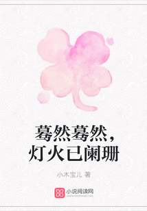 驀然驀然，燈火已闌珊
