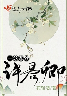 一念悲歡許君卿