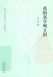 我的名字叫王村