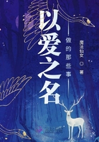 以愛之名做的那些事在線閱讀