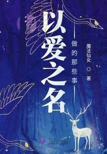 以愛之名做的那些事