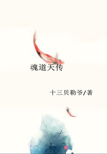 魂道天傳