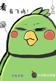 看有飛雞