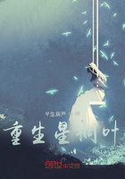 重生星桐叶在线阅读
