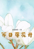 等日落花开3续