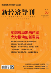 新經(jīng)濟導刊(2021年第3期)