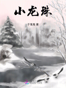 小龙珠