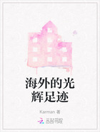 海外的光輝足跡在線(xiàn)閱讀