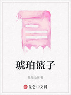 琥珀篮子在线阅读