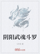 阴阳武魂斗罗在线阅读