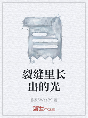 裂缝里长出的光在线阅读