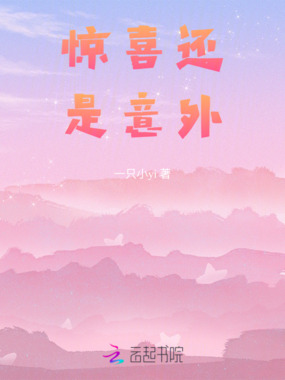 惊喜还是意外在线阅读