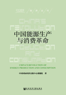 中国能源生产与消费革命