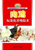 肉鸡标准化养殖技术