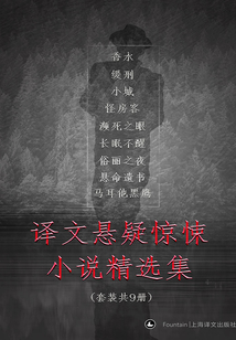 譯文懸疑驚悚小說精選集（套裝共9冊）