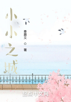小小之城在线阅读