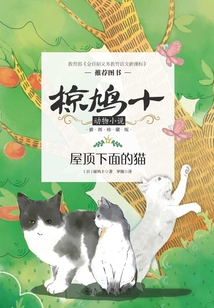 屋頂下面的貓