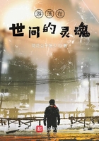 游蕩在世間的靈魂在線閱讀