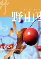 野山棗在線閱讀