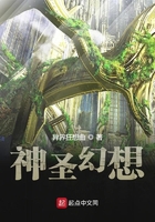 神圣幻想
