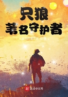 只狼:苇名守护者