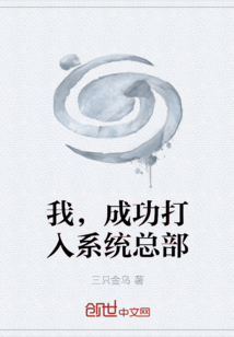 我,成功打入系统总部