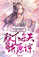 靈魂互換后，殿下每天都在求原諒在線閱讀