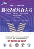 股权估值综合实践：产业投资、私募股权、上市公司估值实践综合指南（原书第3版）在线阅读