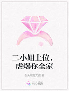 二小姐上位,虐爆你全家在线阅读