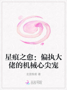 星痕之愈:偏执大佬的机械心尖宠在线阅读