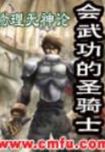 會武功的圣騎士