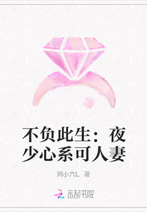 不負此生：夜少心系可人妻