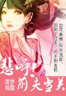 悲呼前夫當關