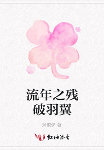 流年之殘破羽翼