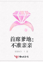 首席爹地：不準親親在線閱讀