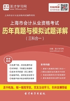 上海市会计从业资格考试历年真题与模拟试题详解（三科合一）